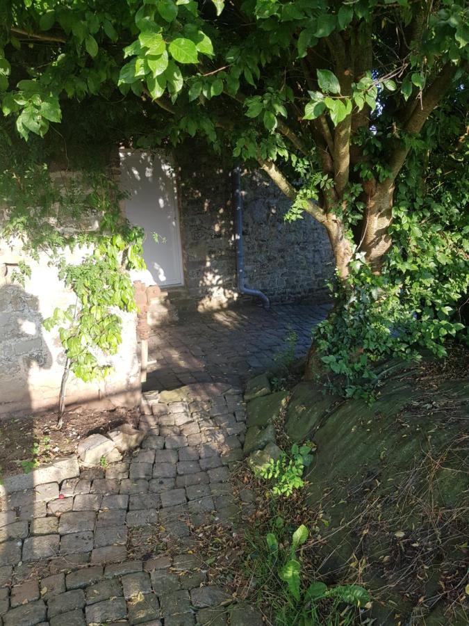 Elevage De La Hurie Saint-Nicolas-de-Pierrepont Εξωτερικό φωτογραφία